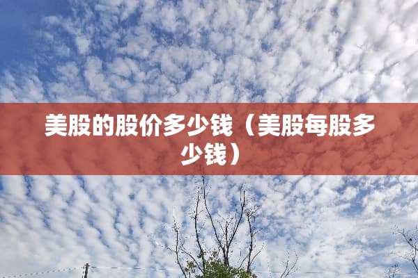 美股的股价多少钱（美股每股多少钱）