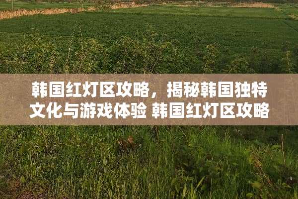 韩国红灯区攻略，揭秘韩国独特文化与游戏体验 韩国红灯区攻略