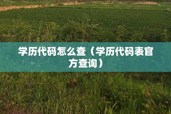 学历代码怎么查（学历代码表官方查询）