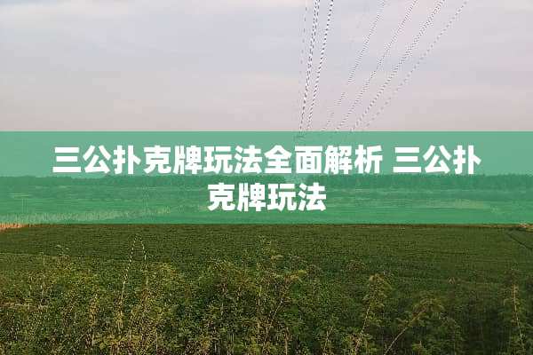 三公扑克牌玩法全面解析 三公扑克牌玩法