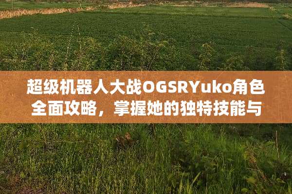 超级机器**战OGSRYuko角色全面攻略,掌握她的独特技能与战斗策略 ryuko游戏通关攻略 超级机器**战OGSRYuko角色全面攻略,掌握她的独特技能与战斗策略 ryuko游戏通关攻略