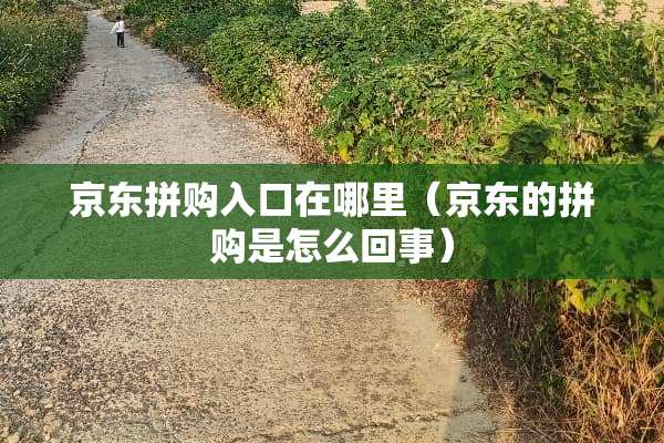 京东拼购入口在哪里（京东的拼购是怎么回事）