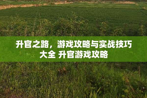 升官之路，游戏攻略与实战技巧大全 升官游戏攻略