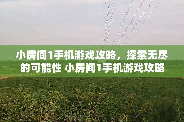 小房间1手机游戏攻略,探索无尽的可能性 小房间1手机游戏攻略 小房间1手机游戏攻略,探索无尽的可能性 小房间1手机游戏攻略
