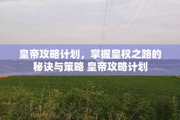 皇帝攻略计划,掌握皇权之路的秘诀与策略 皇帝攻略计划 皇帝攻略计划,掌握皇权之路的秘诀与策略 皇帝攻略计划