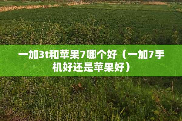 一加3t和苹果7哪个好(一加7手机好还是苹果好) 一加3t和苹果7哪个好(一加7手机好还是苹果好)