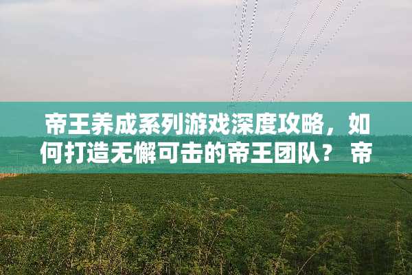 帝王养成系列游戏深度攻略,如何打造无懈可击的帝王团队? 帝王养成系列游戏攻略 帝王养成系列游戏深度攻略,如何打造无懈可击的帝王团队? 帝王养成系列游戏攻略