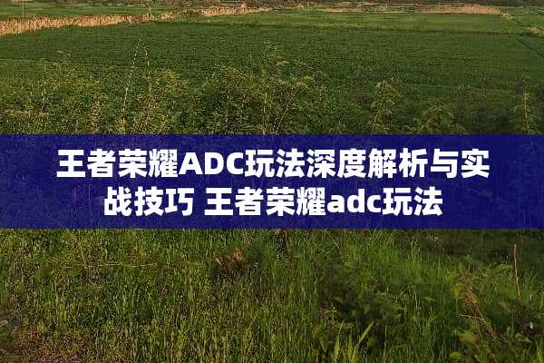 王者荣耀ADC玩法深度解析与实战技巧 王者荣耀adc玩法 王者荣耀ADC玩法深度解析与实战技巧 王者荣耀adc玩法