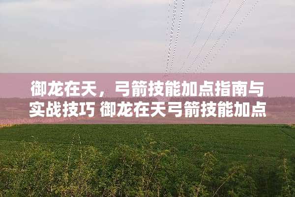 御龙在天，弓箭技能加点指南与实战技巧 御龙在天弓箭技能加点