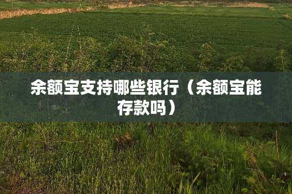 余额宝支持哪些银行（余额宝能存款吗）