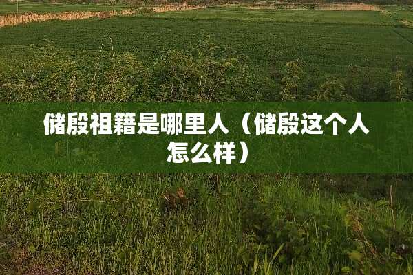 储殷祖籍是哪里人（储殷这个人怎么样）