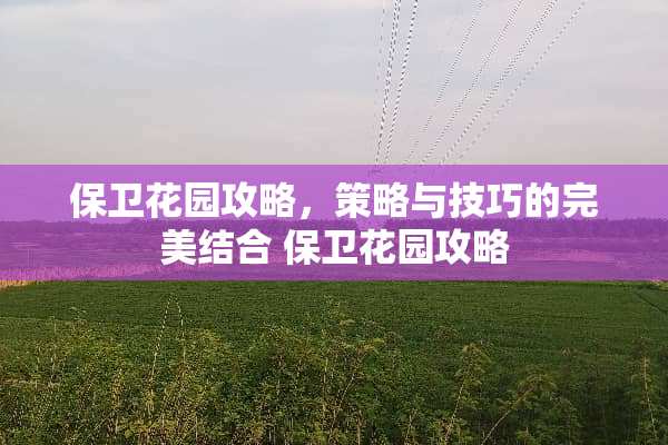 保卫花园攻略,策略与技巧的完美结合 保卫花园攻略 保卫花园攻略,策略与技巧的完美结合 保卫花园攻略