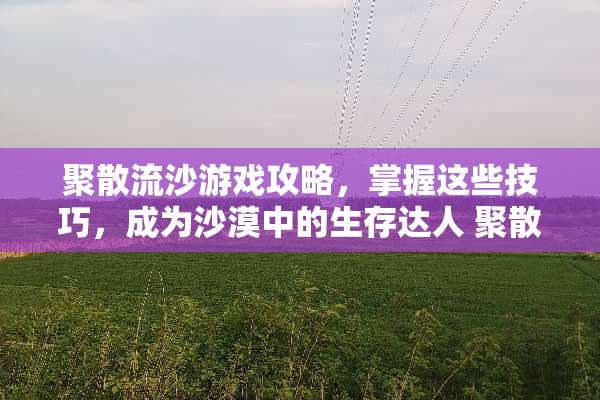 聚散流沙游戏攻略,掌握这些技巧,成为沙漠中的生存达人 聚散流沙游戏攻略 聚散流沙游戏攻略,掌握这些技巧,成为沙漠中的生存达人 聚散流沙游戏攻略