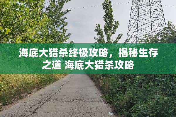 海底大猎杀终极攻略，揭秘生存之道 海底大猎杀攻略