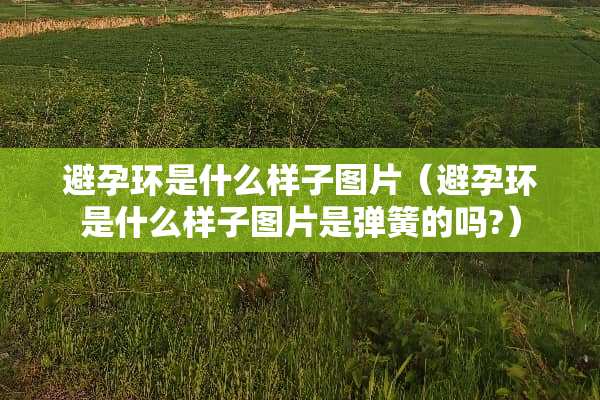 避孕环是什么样子图片（避孕环是什么样子图片是弹簧的吗?）