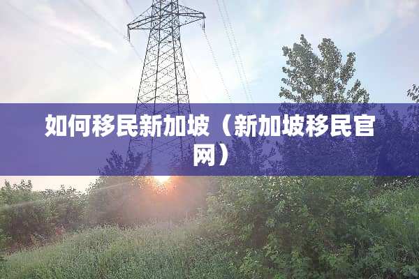 如何移民新加坡（新加坡移民官网）