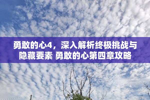 勇敢的心4，深入解析终极挑战与隐藏要素 勇敢的心第四章攻略