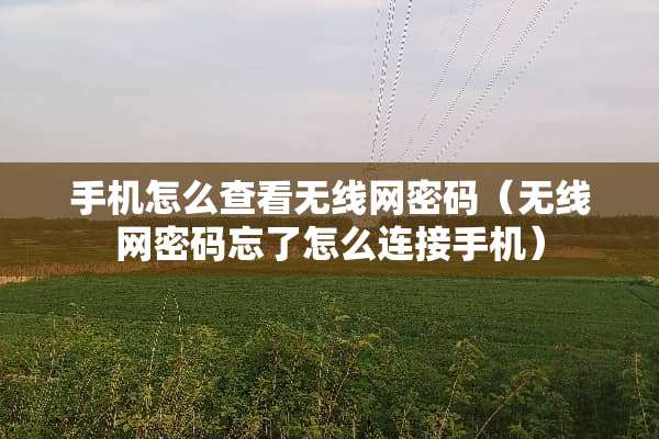 手机怎么查看无线网密码(无线网密码忘了怎么连接手机) 手机怎么查看无线网密码(无线网密码忘了怎么连接手机)