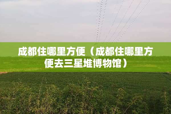 成都住哪里方便(成都住哪里方便去三星堆博物馆) 成都住哪里方便(成都住哪里方便去三星堆博物馆)