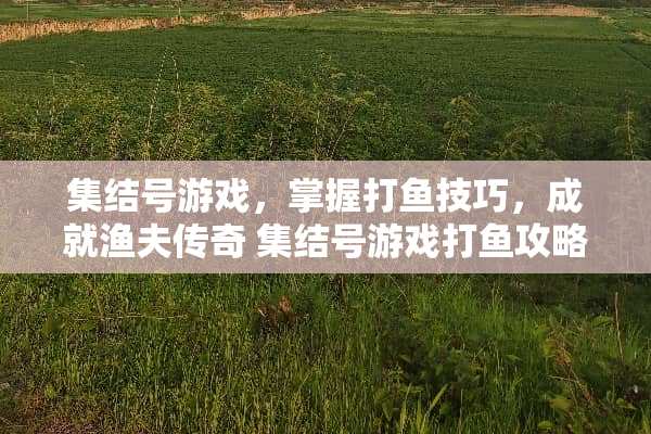 集结号游戏，掌握打鱼技巧，成就渔夫传奇 集结号游戏打鱼攻略