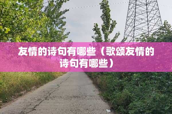友情的诗句有哪些（歌颂友情的诗句有哪些）
