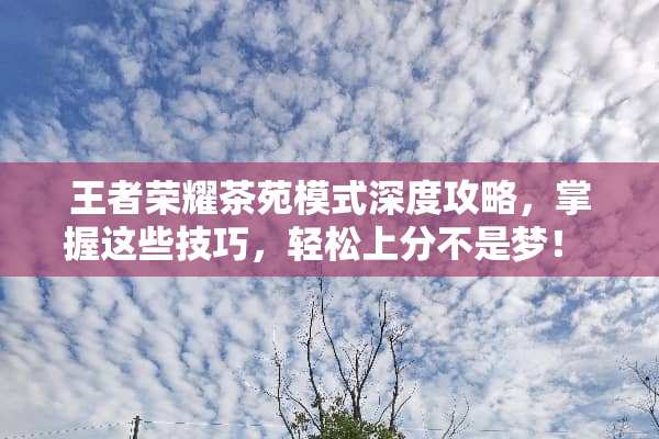 王者荣耀茶苑模式深度攻略，掌握这些技巧，轻松上分不是梦！ 移动游戏茶苑攻略