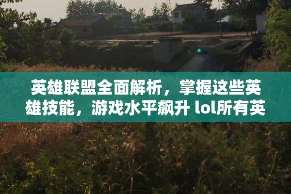 英雄联盟全面解析，掌握这些英雄技能，游戏水平飙升 lol所有英雄技能