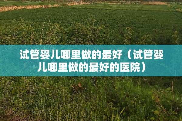 试管婴儿哪里做的最好（试管婴儿哪里做的最好的医院）