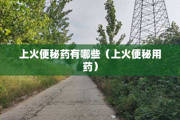 上火便秘药有哪些(上火便秘用药) 上火便秘药有哪些(上火便秘用药)