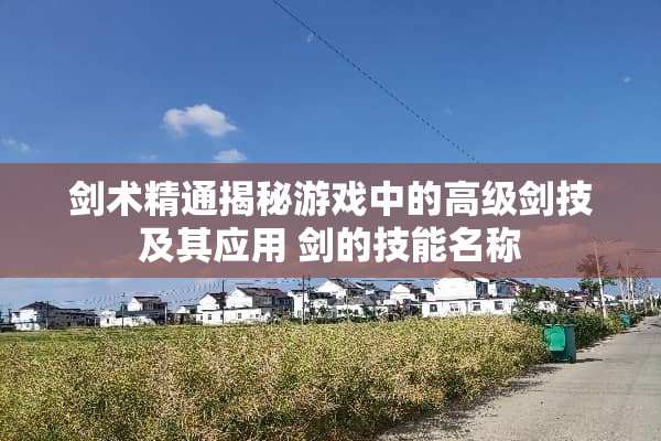 剑术精通揭秘游戏中的高级剑技及其应用 剑的技能名称 剑术精通揭秘游戏中的高级剑技及其应用 剑的技能名称