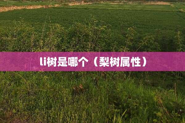 li树是哪个(梨树属性) li树是哪个(梨树属性)