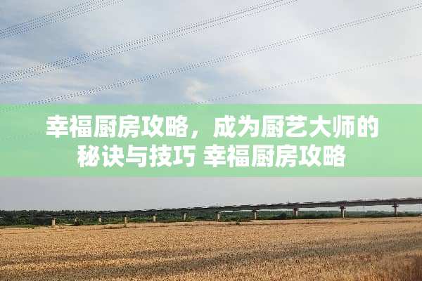 幸福厨房攻略，成为厨艺大师的秘诀与技巧 幸福厨房攻略