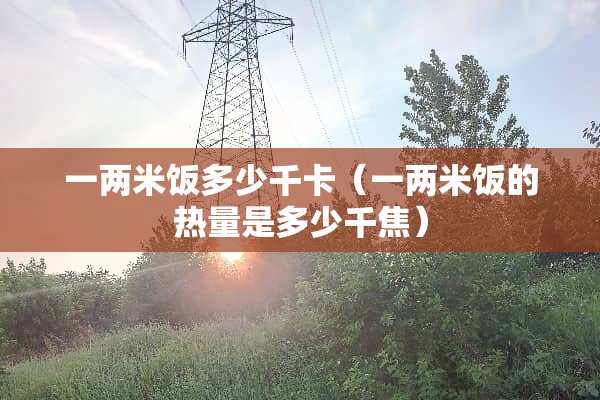 一两米饭多少千卡(一两米饭的热量是多少千焦) 一两米饭多少千卡(一两米饭的热量是多少千焦)