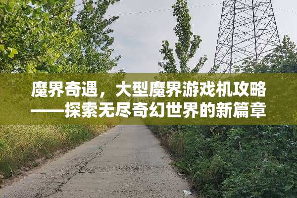魔界奇遇，大型魔界游戏机攻略——探索无尽奇幻世界的新篇章 大型魔界游戏机攻略
