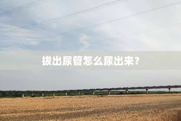 拔出尿管怎么尿出来？