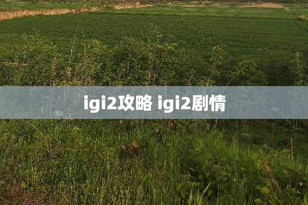 igi2攻略 igi2剧情