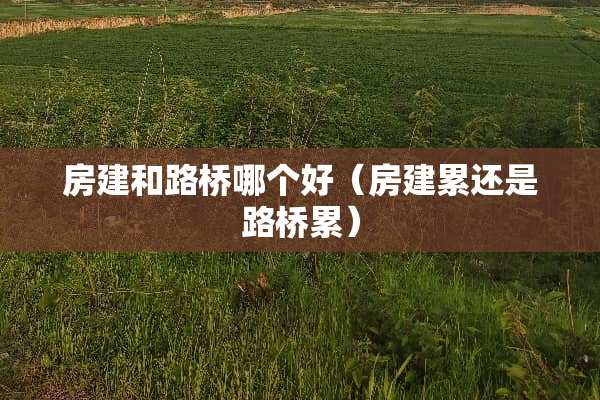 房建和路桥哪个好（房建累还是路桥累）