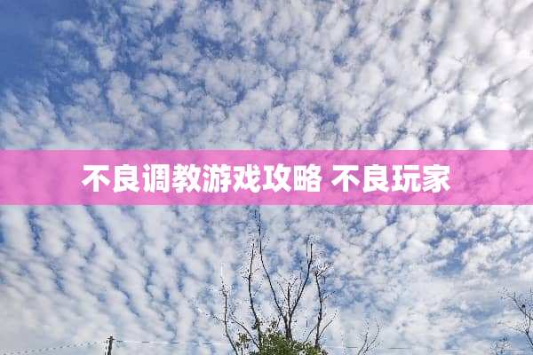 ****游戏攻略**玩家