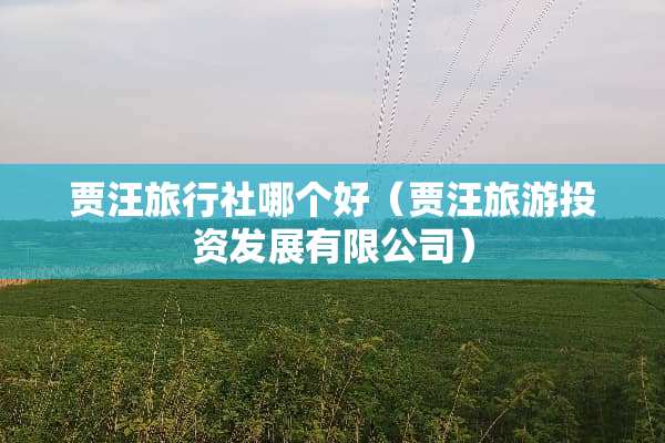 贾汪旅行社哪个好（贾汪旅游投资发展有限公司）