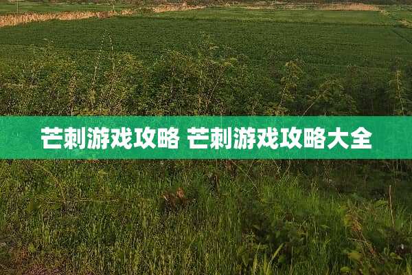 芒刺游戏攻略 芒刺游戏攻略大全