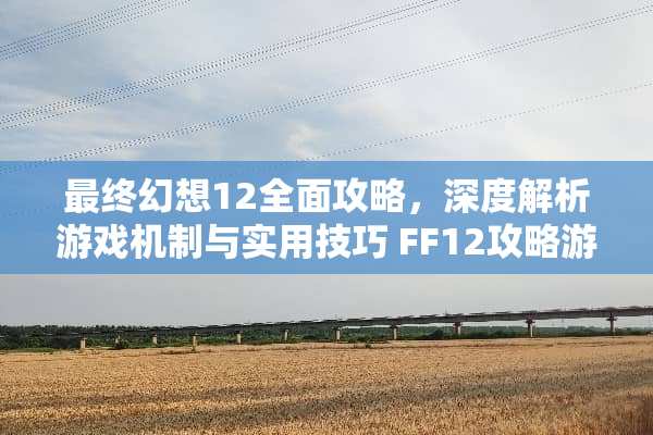 最终幻想12全面攻略，深度解析游戏机制与实用技巧 FF12攻略游戏