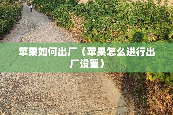 苹果如何出厂（苹果怎么进行出厂设置）
