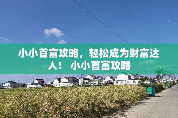 小小首富攻略，轻松成为财富达人！ 小小首富攻略