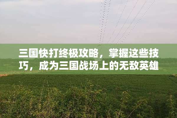 三国快打终极攻略，掌握这些技巧，成为三国战场上的无敌英雄 快打三国攻略