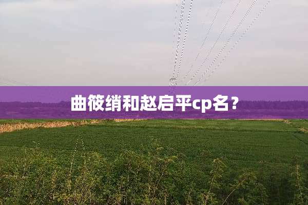 曲筱绡和赵启平cp名？