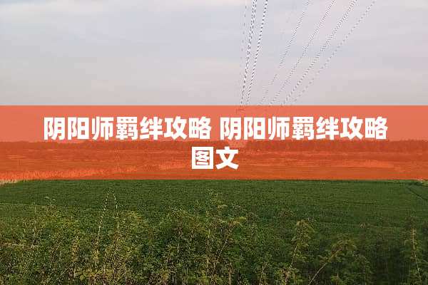 *阳师羁绊攻略*阳师羁绊攻略图文