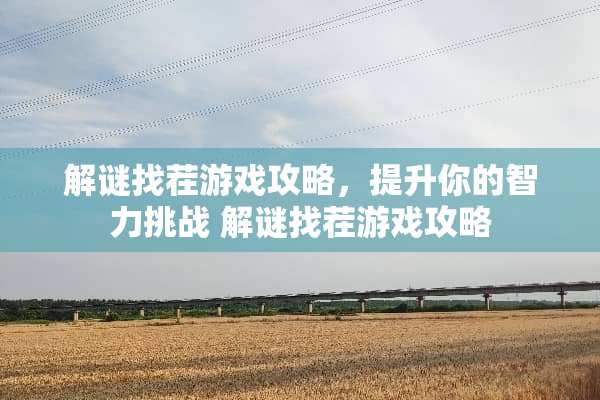 解谜找茬游戏攻略，提升你的智力挑战 解谜找茬游戏攻略