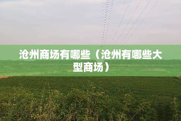 沧州商场有哪些（沧州有哪些大型商场）