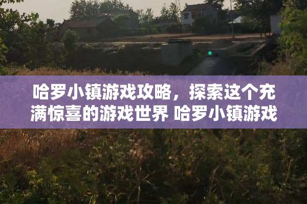 哈罗小镇游戏攻略，探索这个充满惊喜的游戏世界 哈罗小镇游戏攻略