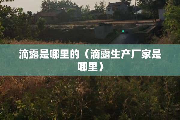 滴露是哪里的（滴露生产厂家是哪里）